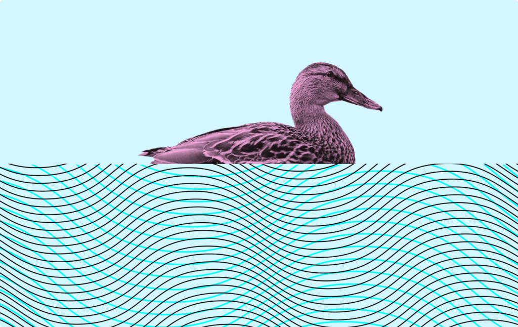 Illustration of a duck