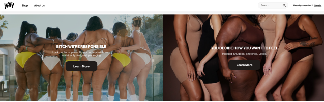 Screenshot from the Yitty website about page, featuring models wearing underwear with their arms around each other backs. The models, who face away from the camera, span race and body size. The captions on each image: "Bitch we're responsible" and "You decide how you want to feel"