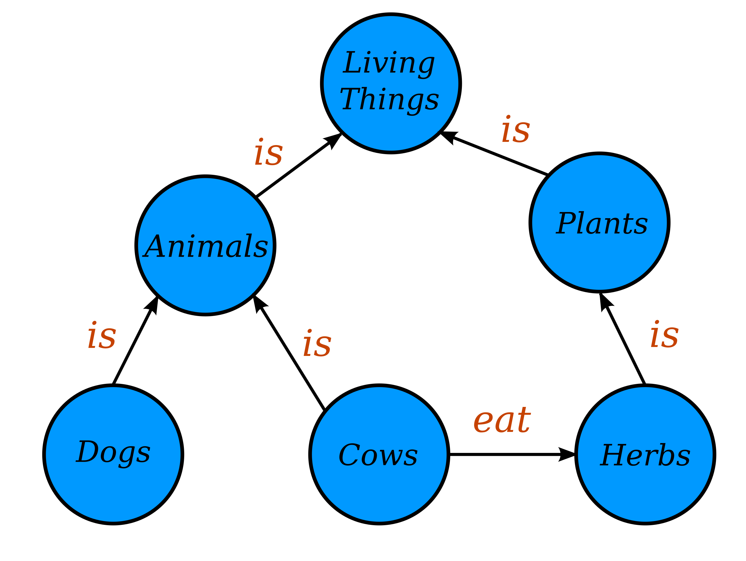 conceptual diagram example