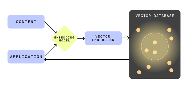 Vector database vs graph database: what is a vector database?