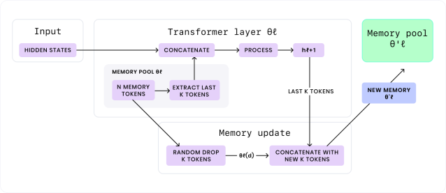 The end-to-end design of a self-evolving transformer layer, and the memory update process.