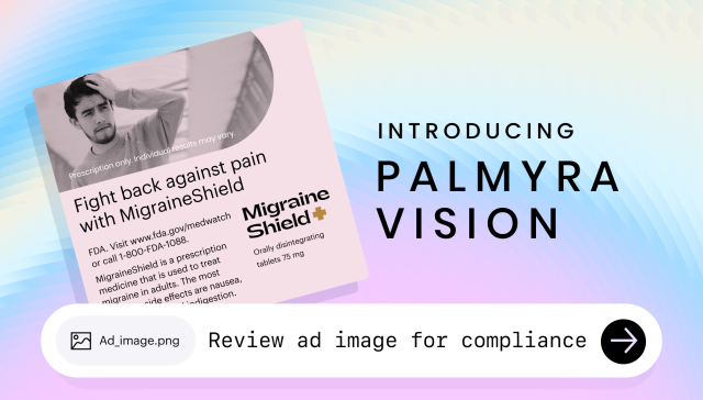 Introducing Palmyra Vision