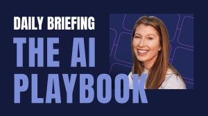 THE AI Playbook - Daily briefing
